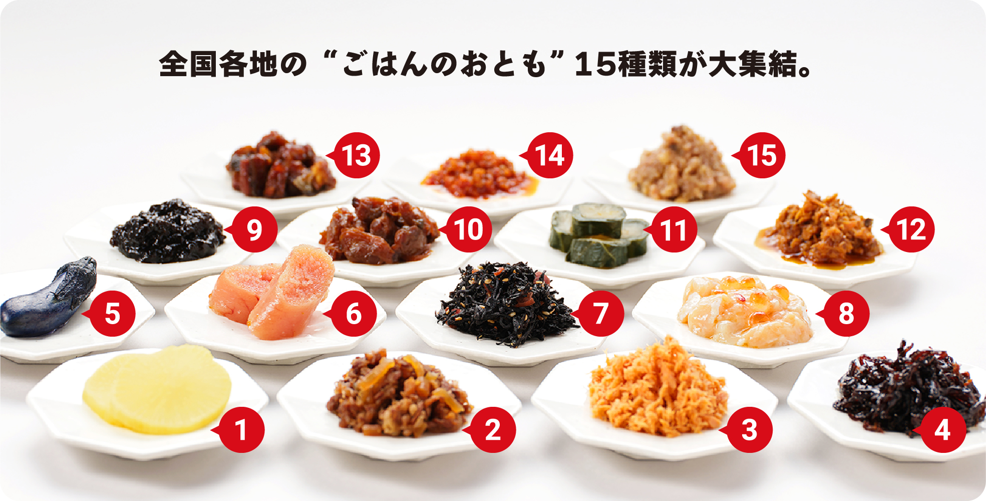 全国各地のごはんのおとも 15種類