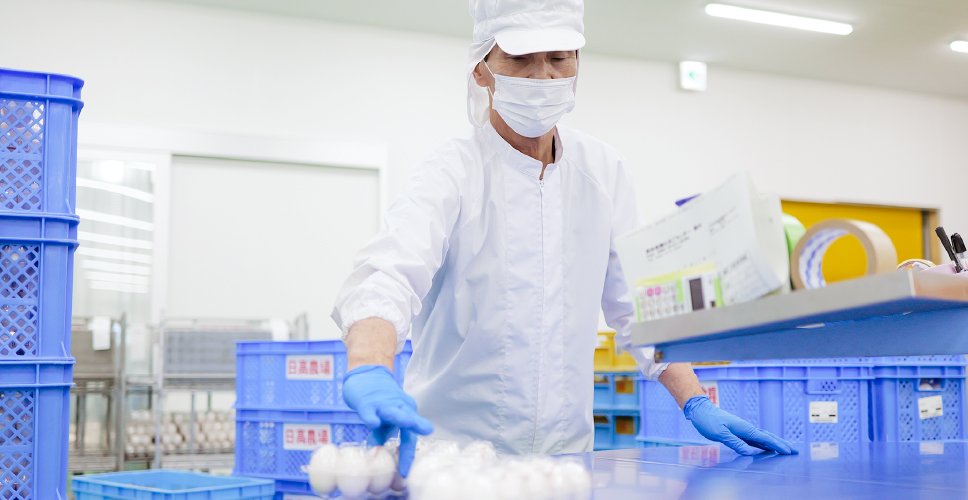 鶏卵事業