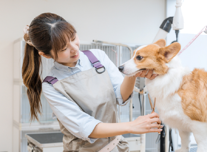 ペットトリミング&ペットホテル