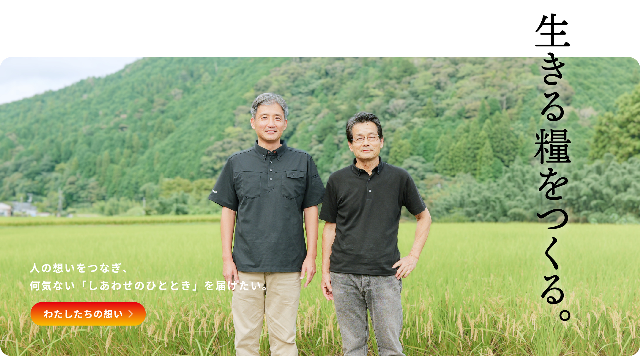 わたしたちの想いへ