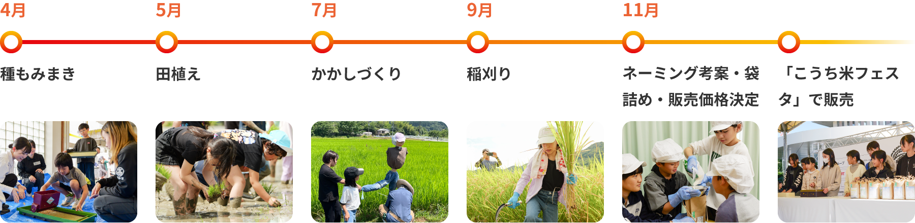 年間活動スケジュール：4月春の学習・5月田植え・7月育成見学・9月収穫・11月食育ワーク・12月体験発表会
